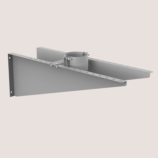 [1086] Том тогтоогч